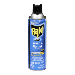 RAID WASP & HORNET KILLER -...